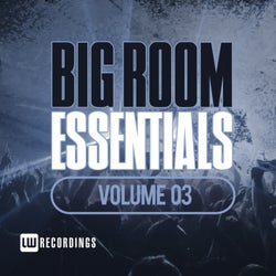 Big Room Essentials, Vol. 03