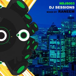 DJ Sessions - Volume 3 (Mixed by Raneem)