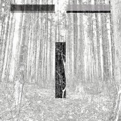 Fault Line (feat. Miles Cooper Seaton) [Plaid Remix]