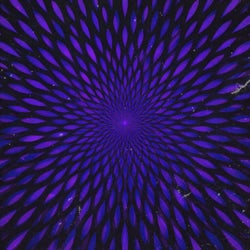 Fixed Rotation