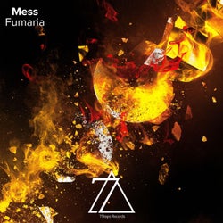 Mess