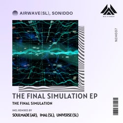 The Final Simulation