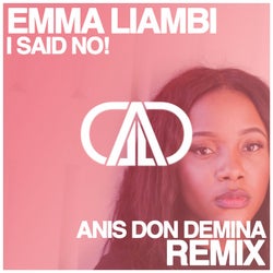 I Said No - Anis Don Demina Remix (feat. Anis Don Demina)