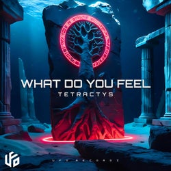 What Do You Feel