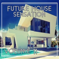 Future House Sensation, Vol.11 (BEST SELECTION OF CLUBBING HOUSE TRACKS)