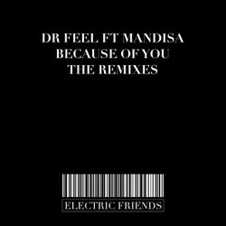 Because of You The Remixes