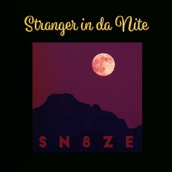 Stranger in da Nite