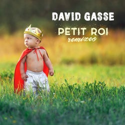 Petit Roi (Remixes)