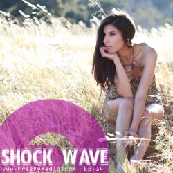SHAKEH'S "SHOCK WAVE" EPISODE 14