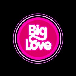 Big Love presents Soul Love mixed by Seamus Haji