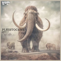 Pleistocene