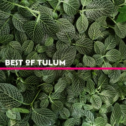Best Of Tulum 2023