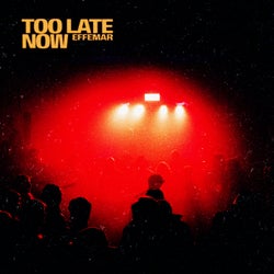 Too Late Now (Extended Mix)