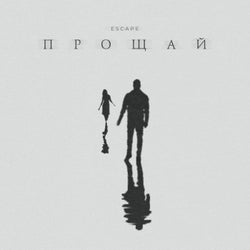 Прощай