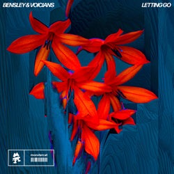 Letting Go - Extended mix