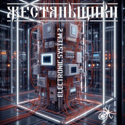Electronic System 2
