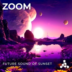 Future Sound Of Sunset