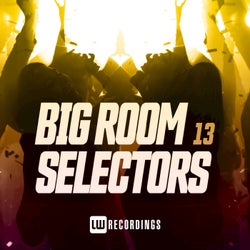 Big Room Selectors, 13
