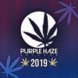 Purple Haze 2019