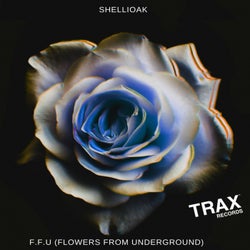 F.F.U (Flowers from Underground)