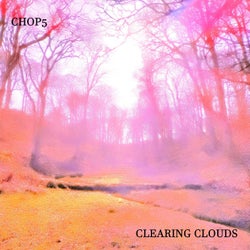 Clearing Clouds