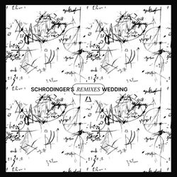 Schrodinger's Wedding (Remixes)