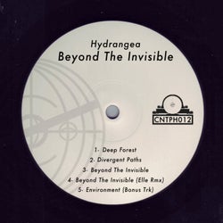 Beyond The Inviible