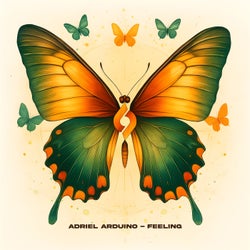 Feeling