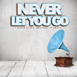 Never Let You Go - Ambient Music Vibes