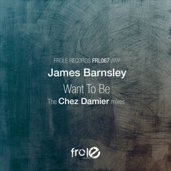 Want To Be (The Chez Damier Mixes)