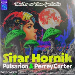 Sitar Hornik - Pulsarion & Perrey Carter Remix