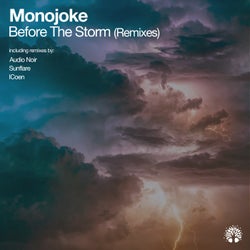 Before the Storm (Remixes)