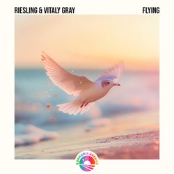 Flying