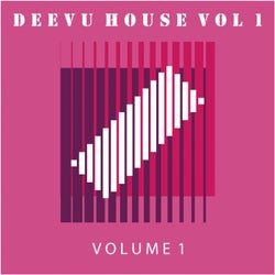 DeeVu House, Vol. 1