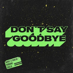 Don't Say Goodbye (Extended)