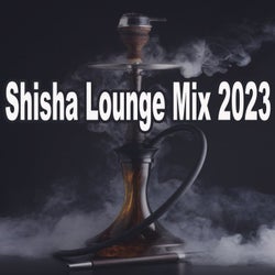 Shisha Lounge Mix 2023 (The Best Oriental Ethnic Lounge Playlist to Smoke To)
