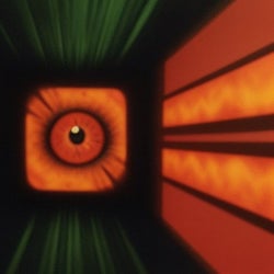 shamanic vision