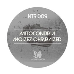 Mitocondria Ep