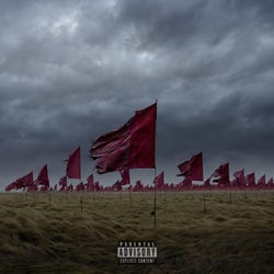 Red Flags