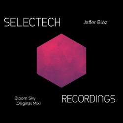 Bloom Sky (Original Mix)