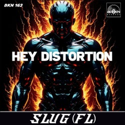 Hey Distortion