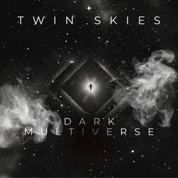 Dark Multiverse