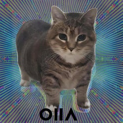 OIIA