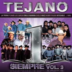 Tejano #1´s Siempre (Vol.3)