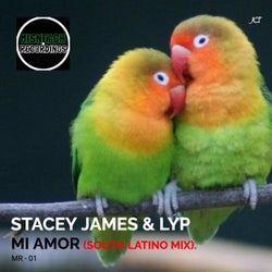 Mi Amor (South Latino Extended Mix)