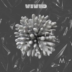 Vivid