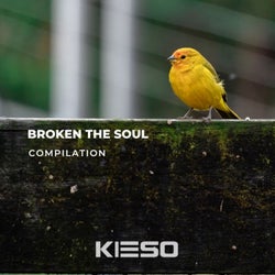 Broken the Soul