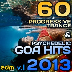 60 Progressive Trance & Psychedelic Goa Hits 2013, Vol .1 (Best of Hard Dance, Acid House, Techno)