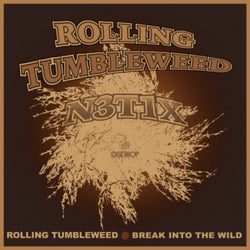 Rolling Tumbleweed