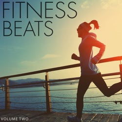 Fitness Beats, Vol. 2 (Sweat, Iron And A Lot Of Beats)